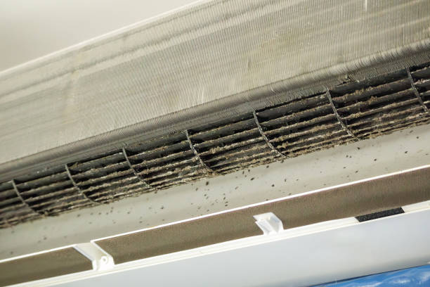 Best HVAC System Cleaning  in Kalifornsky, AK