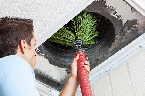 Best Local Air Duct Cleaning Services  in Kalifornsky, AK
